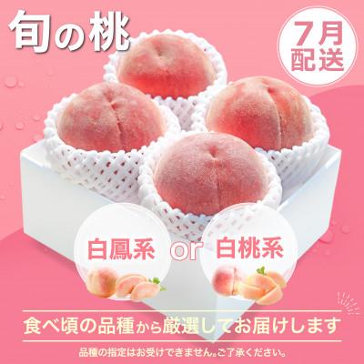 ふるさと納税 笛吹市 【発送月固定定期便】桃 黒ぶどう シャインマスカット 山梨 人気 フルーツ 全3回 |  | 01