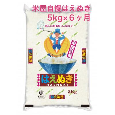 ふるさと納税 酒田市 [毎月定期便]米屋自慢のはえぬき(精米)5kg全6回