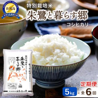 ふるさと納税 佐渡市 [毎月定期便]佐渡産コシヒカリ5kg 特別栽培米「朱鷺と暮らす郷」お米 全6回