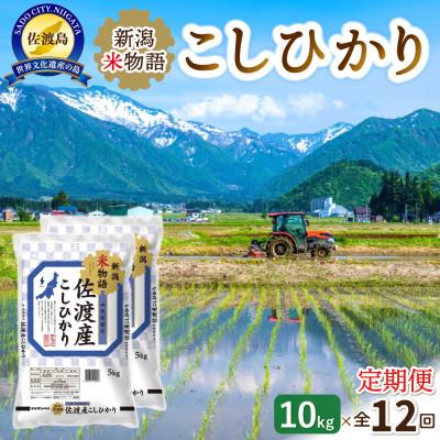 ふるさと納税 佐渡市 [毎月定期便]佐渡産コシヒカリ10kg(5kg×2)「新潟米物語」お米 全12回