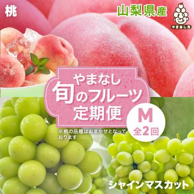 ふるさと納税 山梨市 【発送月固定定期便】やまなし旬のフルーツ定期便