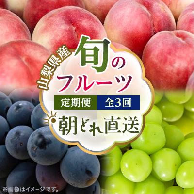 ふるさと納税 山梨市 【発送月固定定期便】フルーツ定期便 桃2kg 巨峰1kg シャイン1kg全3回 | 
