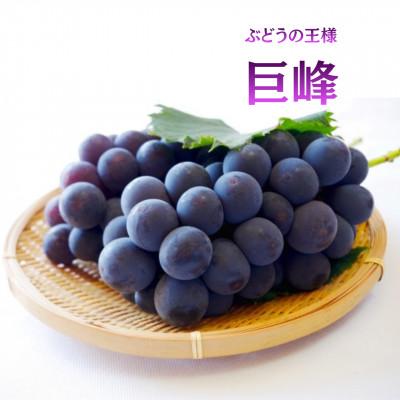 ふるさと納税 山梨市 【発送月固定定期便】フルーツ定期便 桃2kg 巨峰1kg シャイン1kg全3回 |  | 02