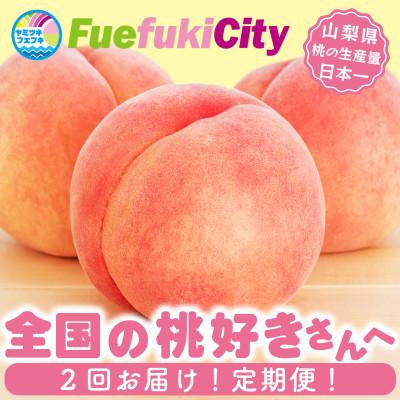 ふるさと納税 笛吹市 [発送月固定定期便]2026年発送 桃 食べ比べ 白鳳系 白桃系全2回