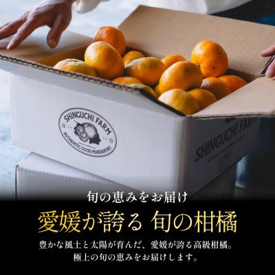 ふるさと納税 八幡浜市 【発送月固定定期便】愛媛フルーツ旬の果物 みかん農家直送 まどんな せとか【H70-148】全12回 |  | 01
