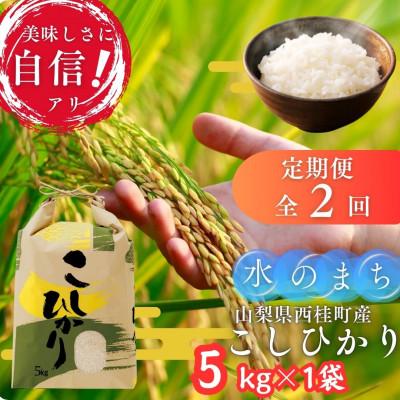 ふるさと納税 西桂町 [毎月定期便]山梨県西桂町産 富士山麓「水のまち」のこしひかり精米 5kg×1袋全2回