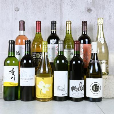 ふるさと納税 甲州市 [発送月固定定期便]プレミアムワイン定期便12本セット(KSB)G5-601全12回