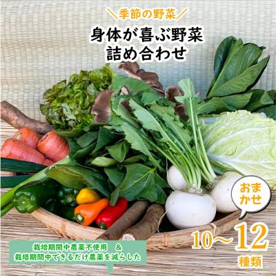 ふるさと納税 行方市 [発送月固定定期便][上旬発送]『身体が喜ぶ野菜』季節の詰め合わせ(おまかせ10〜12品)全10回