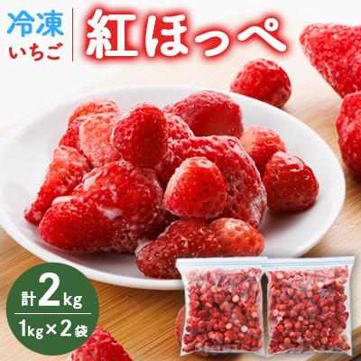 ふるさと納税 豊川市 [3ヵ月毎定期便]冷凍いちご 紅ほっぺ1kg入り×2袋 計2kg全4回