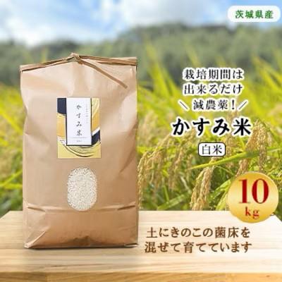 ふるさと納税 潮来市 [毎月定期便]栽培期間出来るだけ農薬を減らして作る「かすみ米」白米10kg全12回