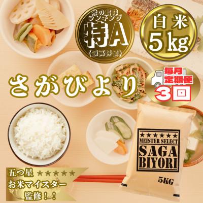 ふるさと納税 大町町 [毎月定期便]『さがびより』白米5kg(大町町)全3回