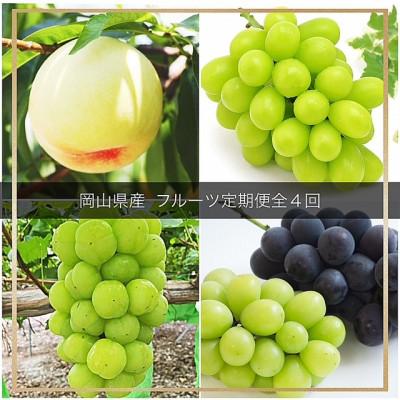 ふるさと納税 井原市 [発送月固定定期便]岡山県産 フルーツ定期便全4回