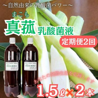 ふるさと納税 西桂町 [2ヵ月毎定期便]発酵生活サポート_富士山麓の自然の恵み_真菰(まこも)乳酸菌液 1.5L2本全2回