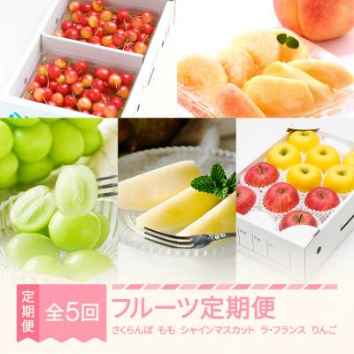 ふるさと納税 村山市 [発送月固定定期便][夏始まり]フルーツ定期便全5回