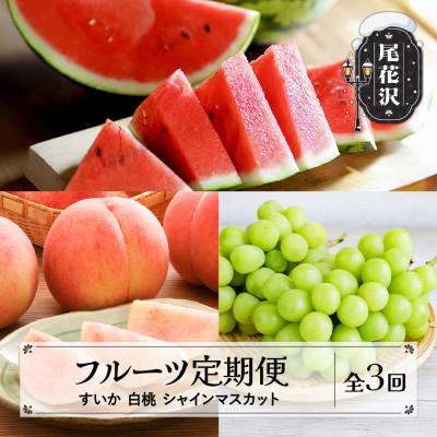 ふるさと納税 尾花沢市 [発送月固定定期便]2027年産 山形 フルーツ定期便 スイカ 白桃 シャインマスカット全3回