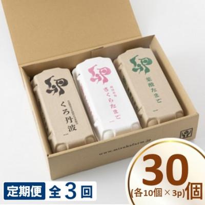 ふるさと納税 京丹波町 [毎月定期便]京丹波みずほファーム こだわりの卵3種セット 各10個入り 計30個セット全3回