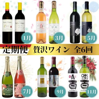 ふるさと納税 甲州市 [発送月固定定期便]甲州市贅沢ワイン定期便全6回