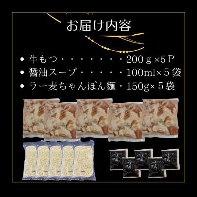 ふるさと納税 大川市 【3ヵ月毎定期便】博多老舗醤油屋さんの醤油スープもつ鍋10人前福岡特産ラー麦ちゃんぽん麺大川市全3回_3
