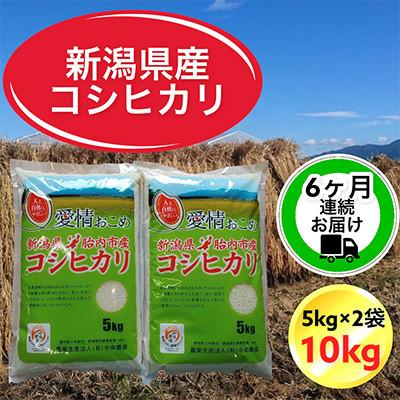 ふるさと納税 胎内市 [毎月定期便][6ヶ月連続お届け]新潟県胎内市産コシヒカリ10kg(5kg×2袋)全6回