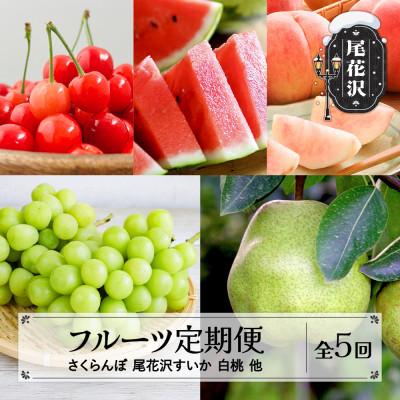 ふるさと納税 尾花沢市 [発送月固定定期便]山形フルーツ定期便 さくらんぼ・スイカ・白桃など全5回