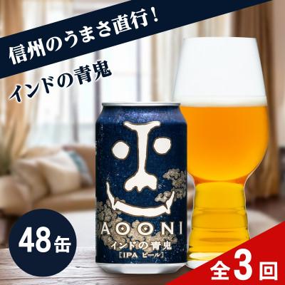 ふるさと納税 佐久市 [毎月定期便][インドの青鬼]クラフトビール(お酒)48本 ヤッホーブルーイング全3回