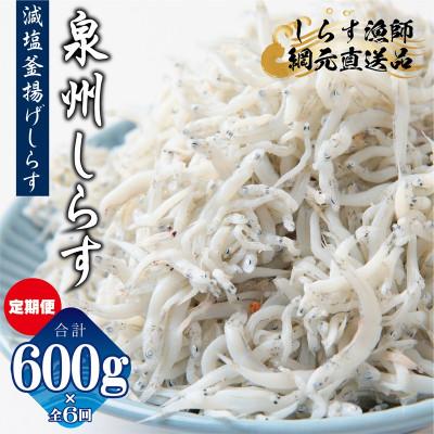 ふるさと納税 泉佐野市 [毎月定期便]減塩 釜揚げしらす 総量3.6kg 産地直送600g×全6回 G2190-1