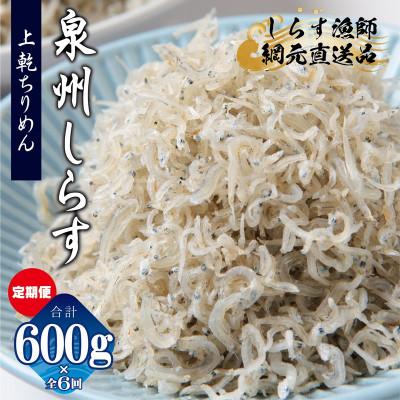 ふるさと納税 泉佐野市 [毎月定期便]上乾ちりめんしらす 総量3.6kg 産地直送 600g×全6回