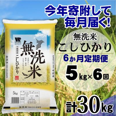 ふるさと納税 大網白里市 【毎月定期便】コシヒカリ 無洗米 5kg(5kg×1袋)全6回 | 