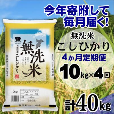 ふるさと納税 大網白里市 【毎月定期便】コシヒカリ 無洗米 10kg (5kg