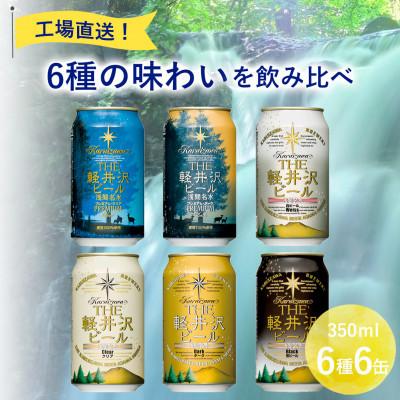 ふるさと納税 佐久市 [毎月定期便]クラフトビール THE軽井沢ビール 350ml 6缶 飲み比べ 6種 セット全2回