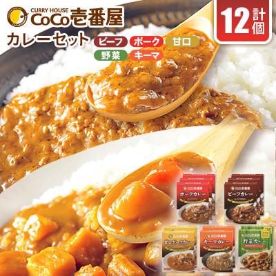 ふるさと納税 矢板市 [毎月定期便]ココイチカレーDセット(ビーフ/ポーク各3個・甘口/野菜/キーマ各2個)計12個全3回