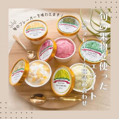 ふるさと納税 袋井市 [毎月定期便]旬の人気ジェラート6種12個セット全3回