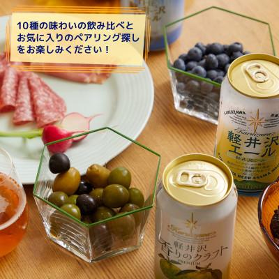 ふるさと納税 佐久市 【毎月定期便】THE軽井沢ビール 10種20缶 クラフトビール350ml 飲み比べセット全2回の画像
