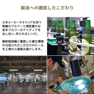 ふるさと納税 佐久市 【毎月定期便】THE軽井沢ビール 10種20缶 クラフトビール350ml 飲み比べセット全2回の画像