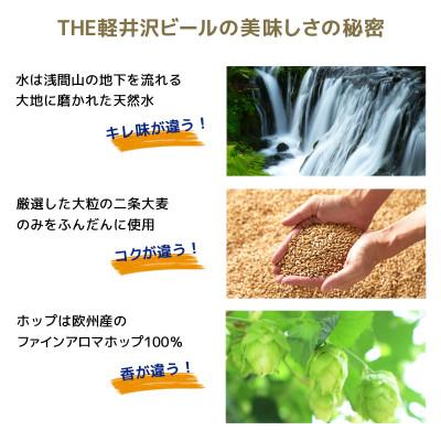 ふるさと納税 佐久市 【毎月定期便】THE軽井沢ビール 10種20缶 クラフトビール350ml 飲み比べセット全2回の画像