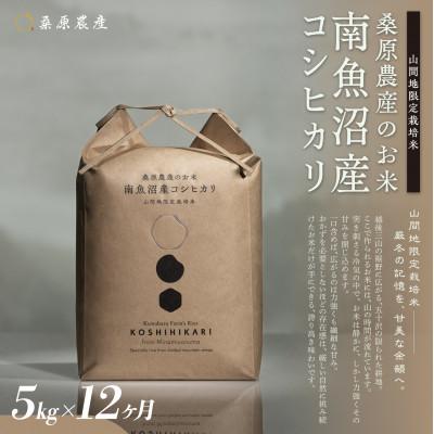 ふるさと納税 南魚沼市 【毎月定期便】桑原農産 山間地限定米 南魚沼産