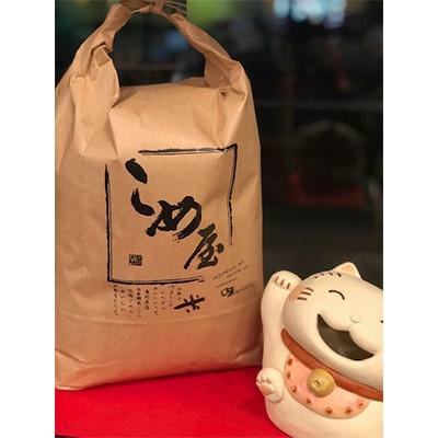 ふるさと納税 玉名市 [毎月定期便]熊本県玉名市産 森のくまさん 5kg全3回