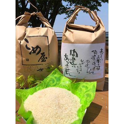 ふるさと納税 玉名市 [毎月定期便]熊本県産ヒノヒカリ(精米) 5kg×2個全3回