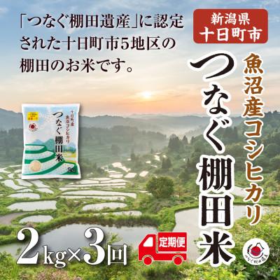 ふるさと納税 十日町市 [毎月定期便]新潟県十日町市魚沼産コシヒカリ「つなぐ棚田米」精米2kg全3回