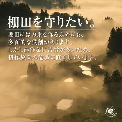 ふるさと納税 十日町市 【毎月定期便】新潟県十日町市魚沼産コシヒカリ「つなぐ棚田米」無洗米2kg全6回の画像