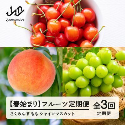 ふるさと納税 山辺町 [発送月固定定期便]フルーツ定期便 佐藤錦 白桃 シャインマスカット全3回