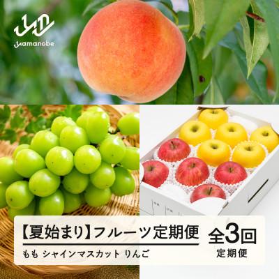 ふるさと納税 山辺町 [発送月固定定期便]フルーツ定期便 白桃 シャインマスカット りんご全3回