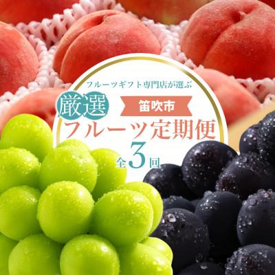 ふるさと納税 笛吹市 [発送月固定定期便]フルーツギフト専門店が選ぶ笛吹市の厳選フルーツ定期便全3回