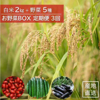 ふるさと納税 日高町 [毎月定期便]産地直送!米と野菜の詰め合わせ定期便[小浦れんげ米(精米)2kg+新鮮野菜5種]全3回