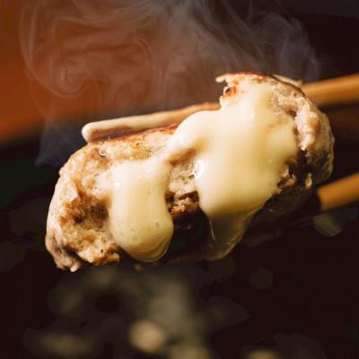 ふるさと納税 帯広市 [毎月定期便]チーズ in ハンバーグ 生(12個入) 2セット全2回