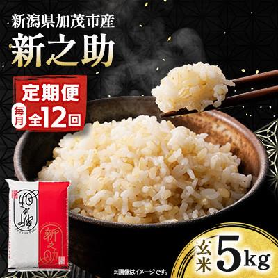 ふるさと納税 加茂市 [発送月固定定期便]新之助 玄米5kg全12回