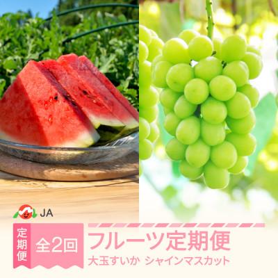 ふるさと納税 村山市 [発送月固定定期便]フルーツ定期便全2回