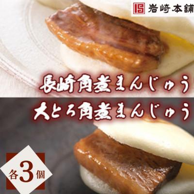 ふるさと納税 長崎市 [毎月定期便][岩崎本舗]長崎自慢セット(長崎角煮まん3個・大とろ角煮まん3個)(長崎市)全3回