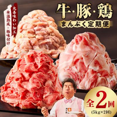 ふるさと納税 泉佐野市 [毎月定期便]国産 牛肉&amp;豚肉&amp;鶏肉 まんぷく 5kg[氷温熟成×極味付け] mrzZ019全2回