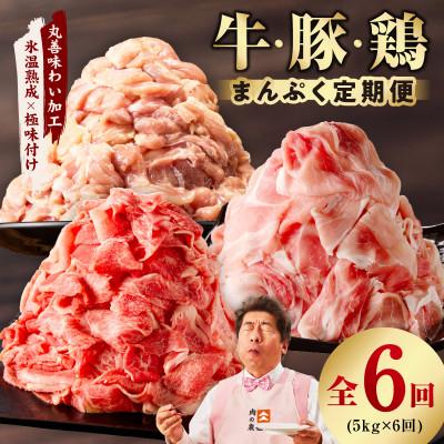 ふるさと納税 泉佐野市 [毎月定期便]国産 牛肉&amp;豚肉&amp;鶏肉 まんぷく 5kg[氷温熟成×極味付け]全6回mrz